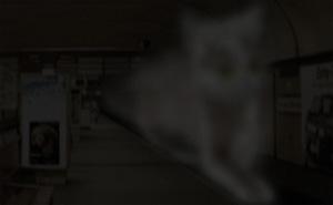 Illustration av “der Riesenkatze”, baserad på vittnesmål från stationen Platz der Luftbrücke.