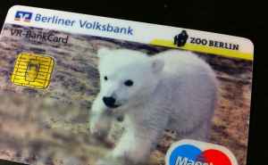 Knut på kort. Foto: Berlinow.com