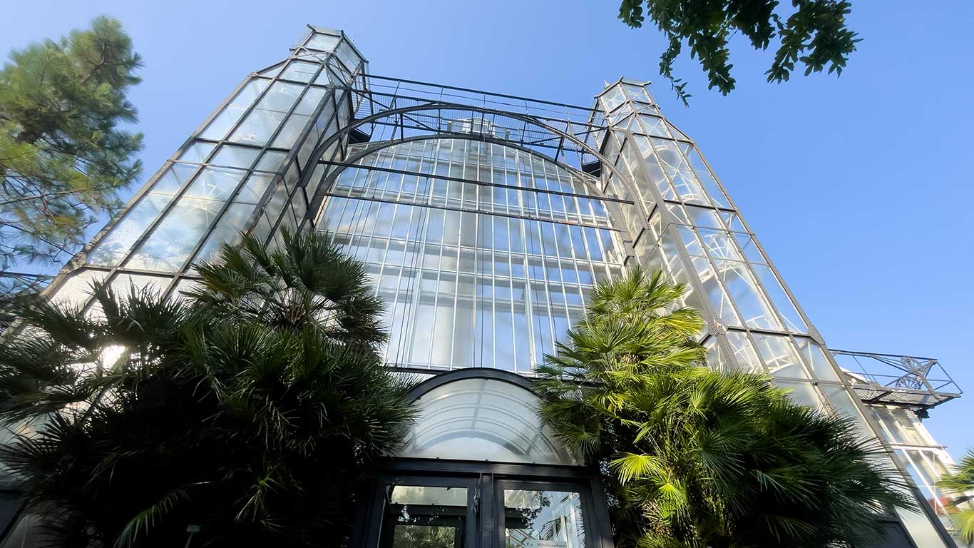 Botaniska trädgården i Berlin. Foto: Esbjörn Guwallius/Berlinow