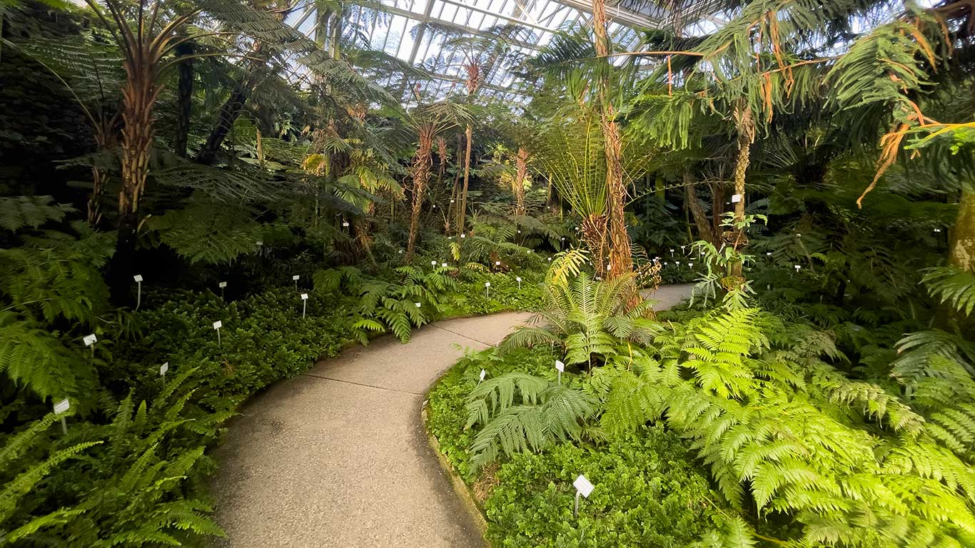 Botaniska trädgården i Berlin. Foto: Esbjörn Guwallius/Berlinow