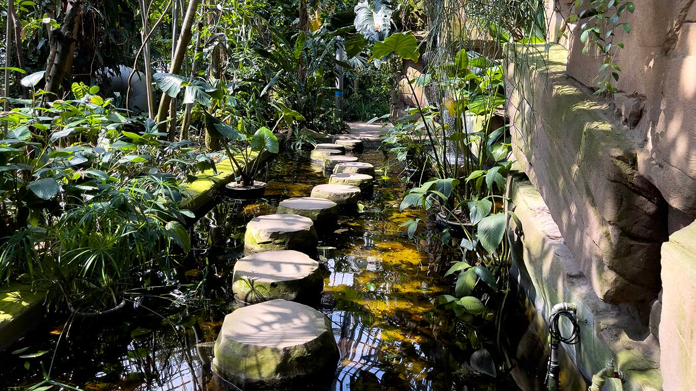 Botaniska trädgården i Berlin. Foto: Esbjörn Guwallius/Berlinow