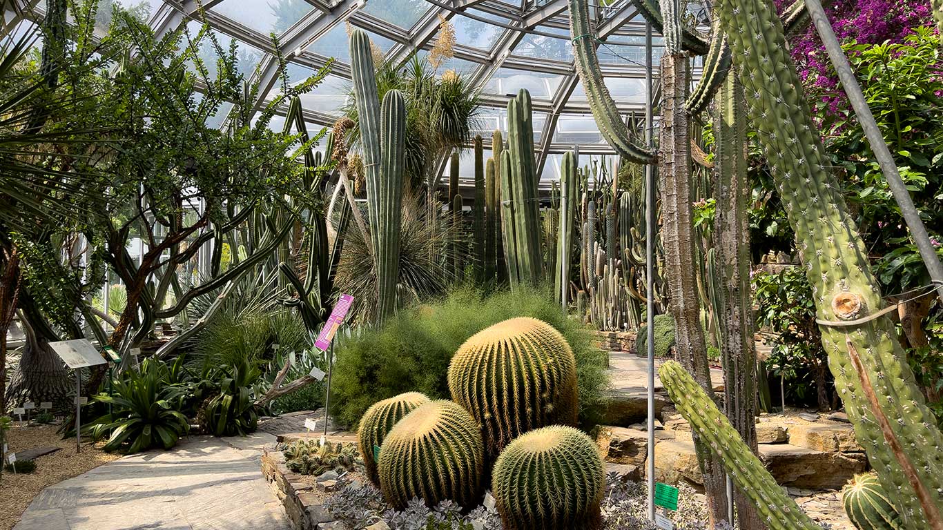 Botaniska trädgården i Berlin. Foto: Esbjörn Guwallius/Berlinow